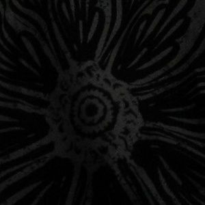 Meet your Posher, Hayden